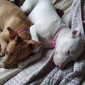 Meet your Posher, Carl